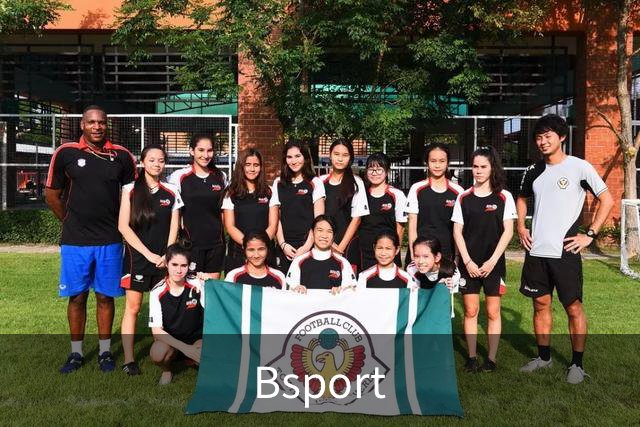 Bsport公司介绍